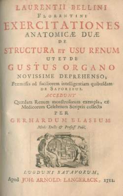 Bild Nr.2: 127-514 Bellini,L.: (ZZRückgänge Sgl. Prof. Büttner Teil 1)