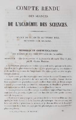 Bild Nr.1: 127-517 Bernard,C.: (ZZRückgänge Sgl. Prof. Büttner Teil 1)