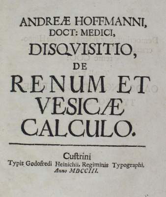 Bild Nr.1: 127-553 Hoffmann,A.: (ZZRückgänge Sgl. Prof. Büttner Teil 1)