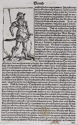 Bild Nr.1: 127-740 Konvolut: (Alte Drucke, Handschriften und Theologie)