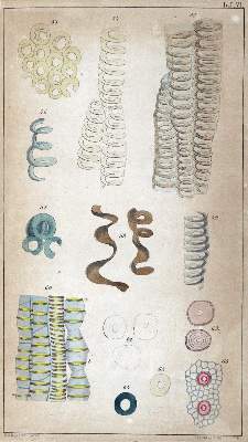 Bild Nr.2: 127-82 Sammlung: (Chemie)