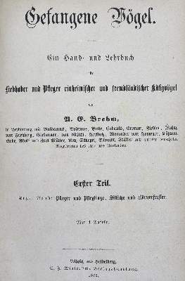 Bild Nr.32: 127-885 Konvolut: (Varia)