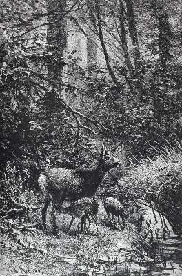 Bild Nr.1: 127-977 Corneli,R.: (Jagd)