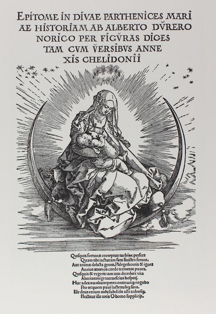 Große Abbildung Nr.1: 128-1031 Schoch,R. u. A.Scherbaum.: (Dürer)
