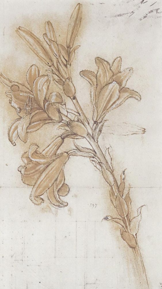 Große Abbildung Nr.2: 128-1130 Leonardo da Vinci.: (Faksimile)