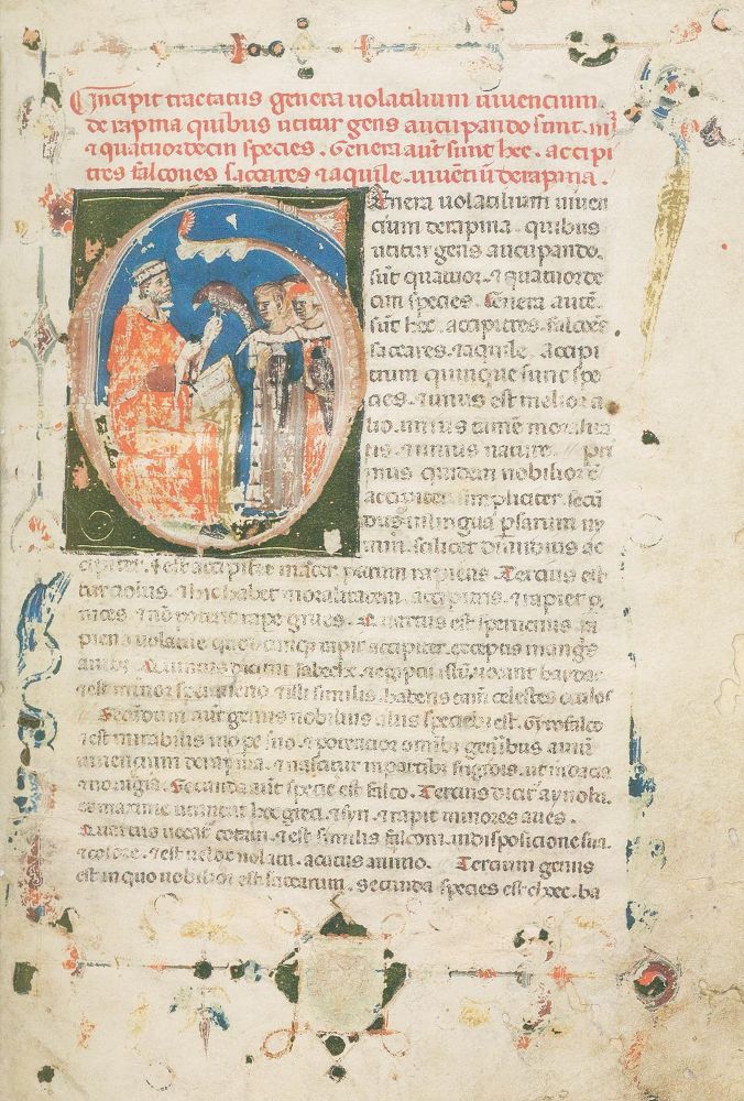 Große Abbildung Nr.1: 128-1139 Wiener Moamin.: (Faksimile)