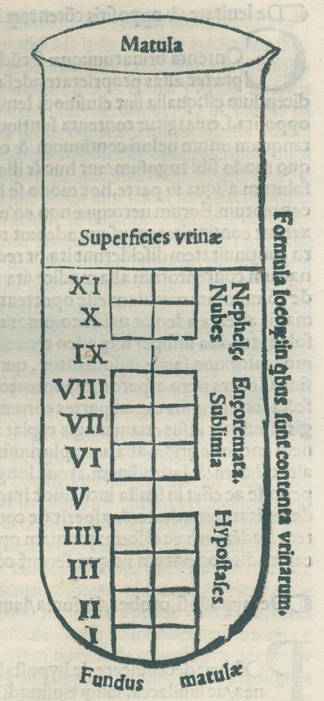 Große Abbildung Nr.2: 128-115 Actuarius,J.: (ZZRückgänge Sgl. Prof. Büttner Teil 1 und 2)