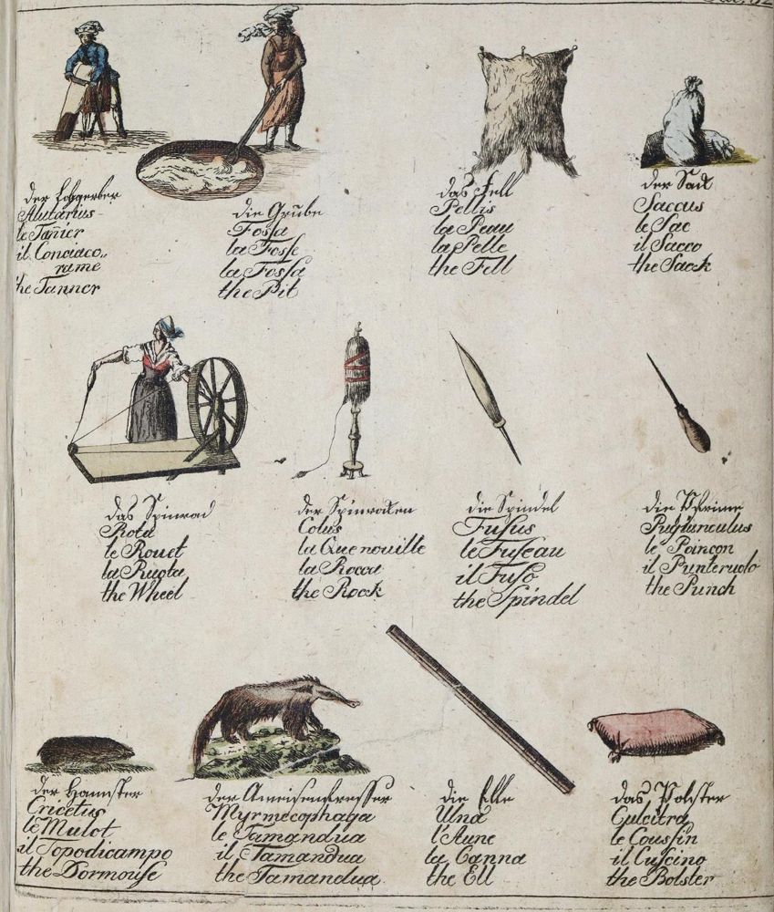 Große Abbildung Nr.1: 128-1273 Neuer Orbis Pictus: (Orbis Pictus)