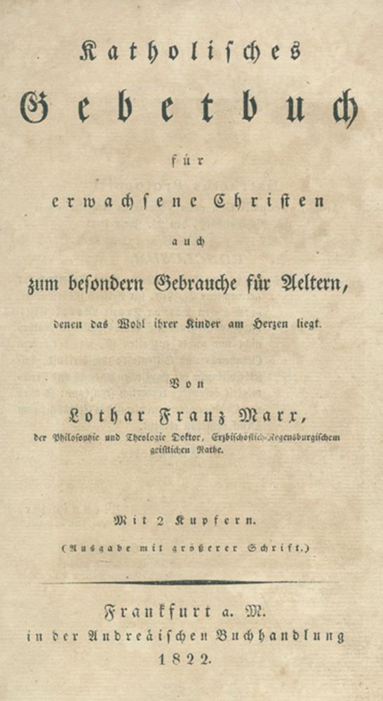 Große Abbildung Nr.1: 128-1355 Roter Ledereinband: (Einband)