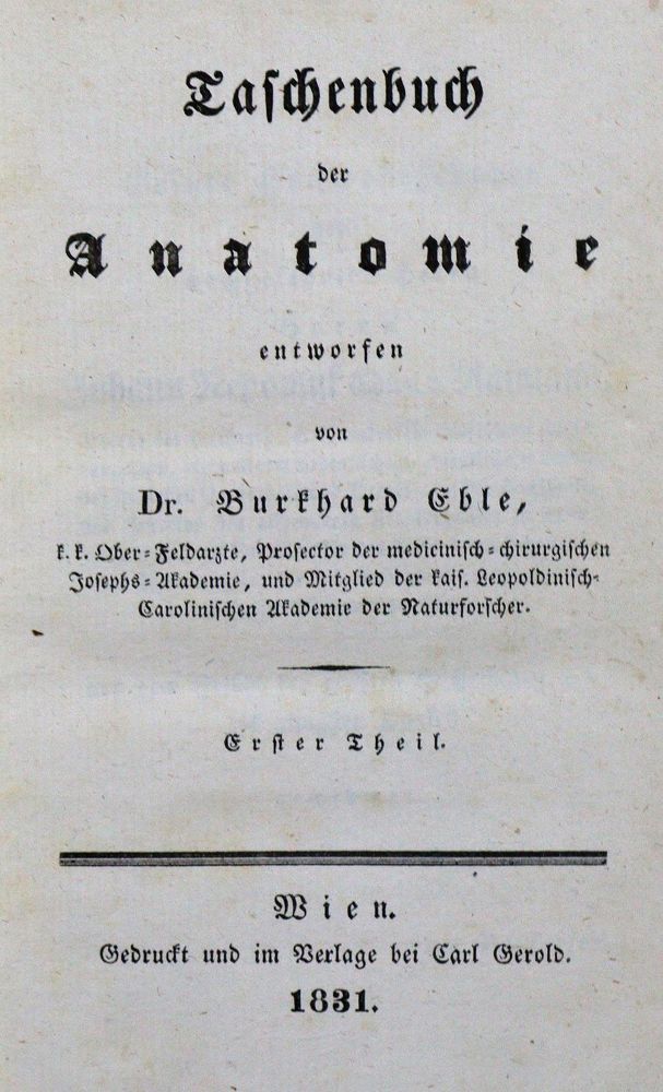 Große Abbildung Nr.1: 128-146 Eble,B.: (ZZRückgänge Sgl. Prof. Büttner Teil 1 und 2)