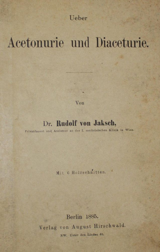 Große Abbildung Nr.21: 128-169 Jaksch,R.v.: (ZZRückgänge Sgl. Prof. Büttner Teil 1 und 2)