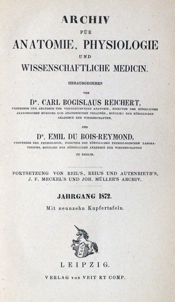 Große Abbildung Nr.33: 128-177 Kühne,W. (Hrsg.).: (ZZRückgänge Sgl. Prof. Büttner Teil 1 und 2)