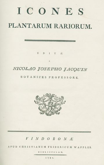 Große Abbildung Nr.1: 128-1807 Jacquin,N.J.: (Botanik)