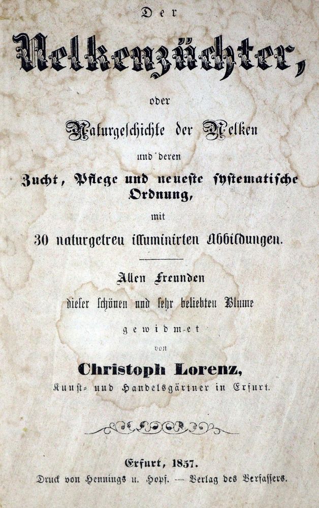 Große Abbildung Nr.1: 128-1814 Lorenz,C.: (Botanik, Nelken)