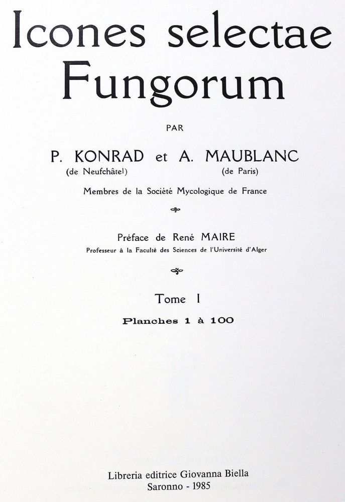 Große Abbildung Nr.21: 128-1816 Konvolut: (Botanik, Pilze)