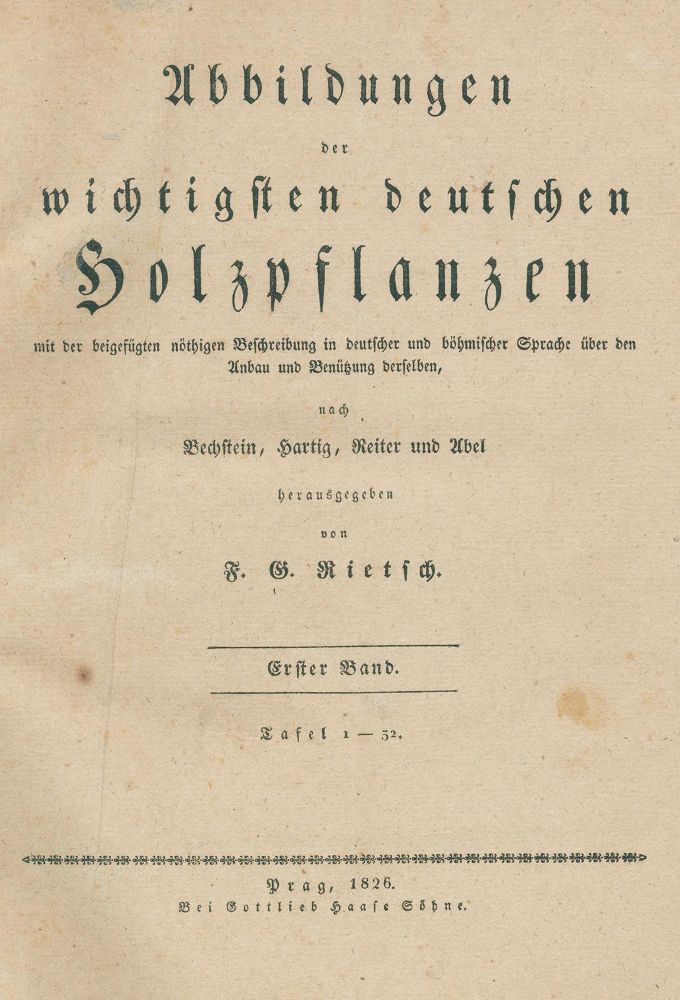 Große Abbildung Nr.1: 128-1820 Ryc (Rietsch),F.G.: (Botanik)