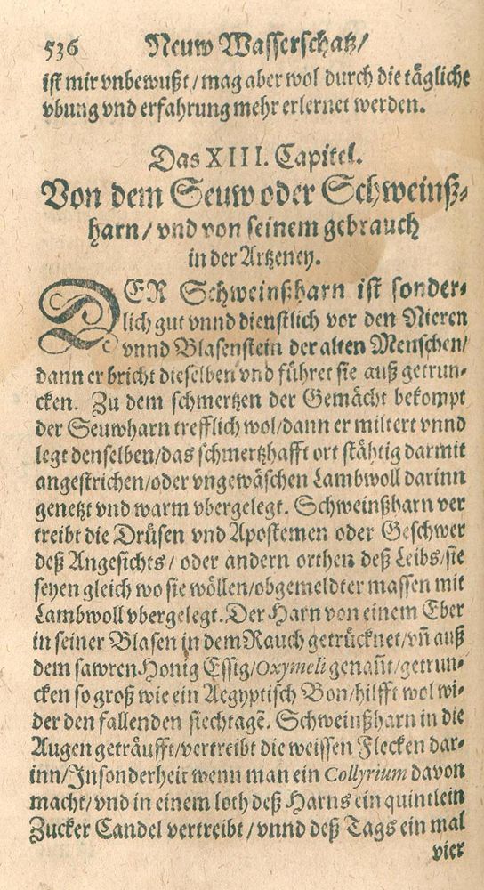 Große Abbildung Nr.2: 128-1828 (Tabernaemontanus,J.T.: (Medizin, Balneologie)