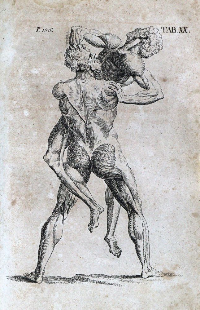 Große Abbildung Nr.3: 128-1854 Hoffmann,F.: (Medizin)