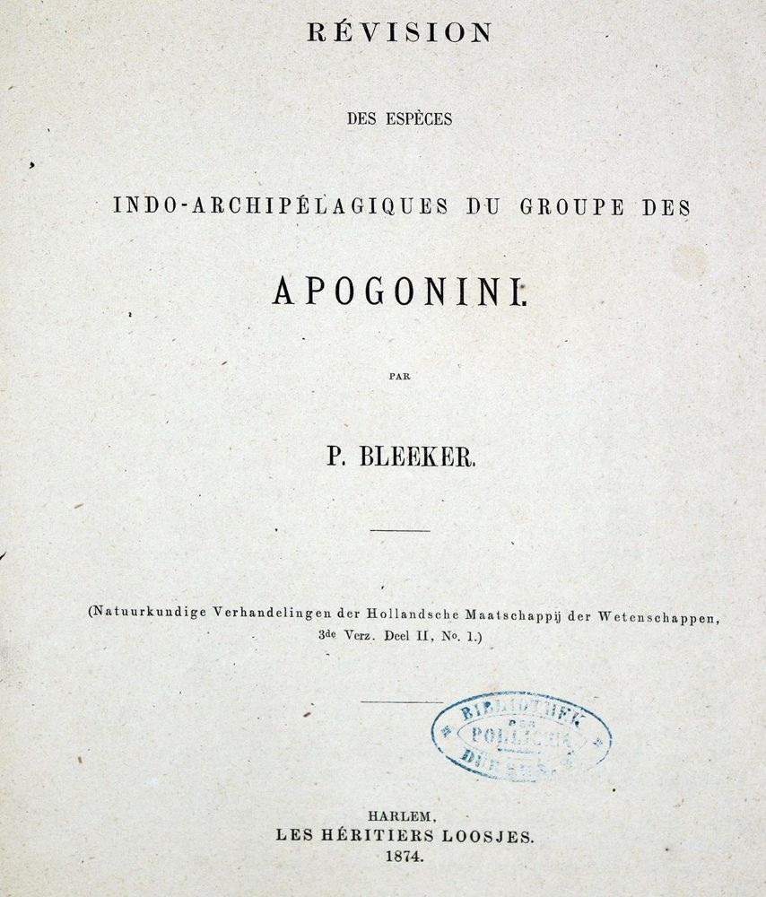 Große Abbildung Nr.1: 128-1903 Bleeker,P.: (Zoologie, Fische)