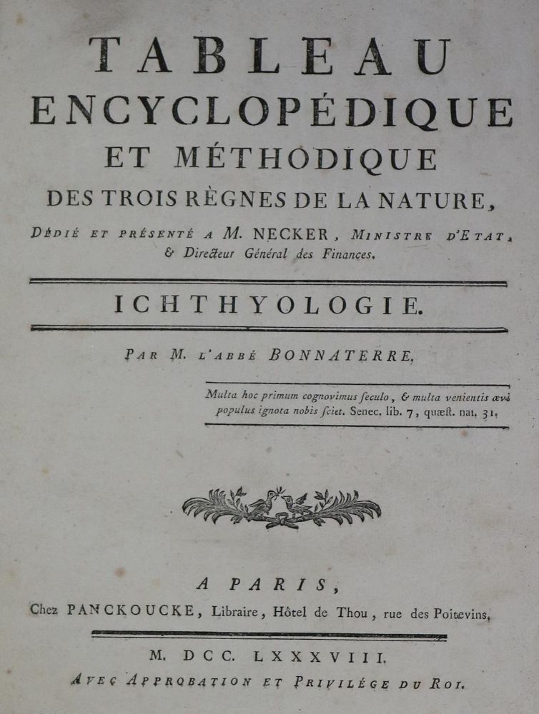 Große Abbildung Nr.1: 128-1905 Bonnaterre,P.J.: (Zoologie, Fische)