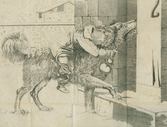 Große Abbildung Nr.1: 128-1910 Götz,T.: (Zoologie, Hunde)