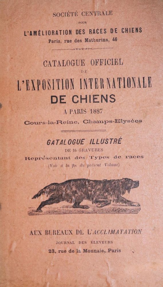 Große Abbildung Nr.1: 128-1912 Sammlung: (Zoologie, Hunde)