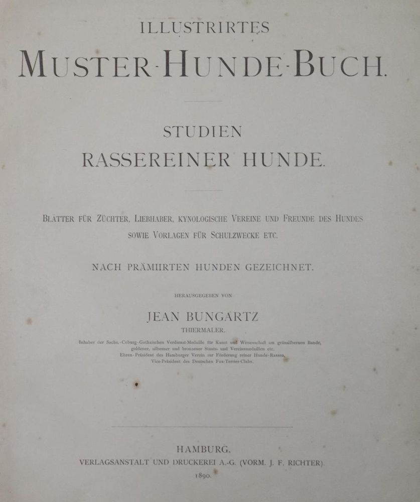 Große Abbildung Nr.1: 128-1914 Sammlung: (Zoologie, Hunde)