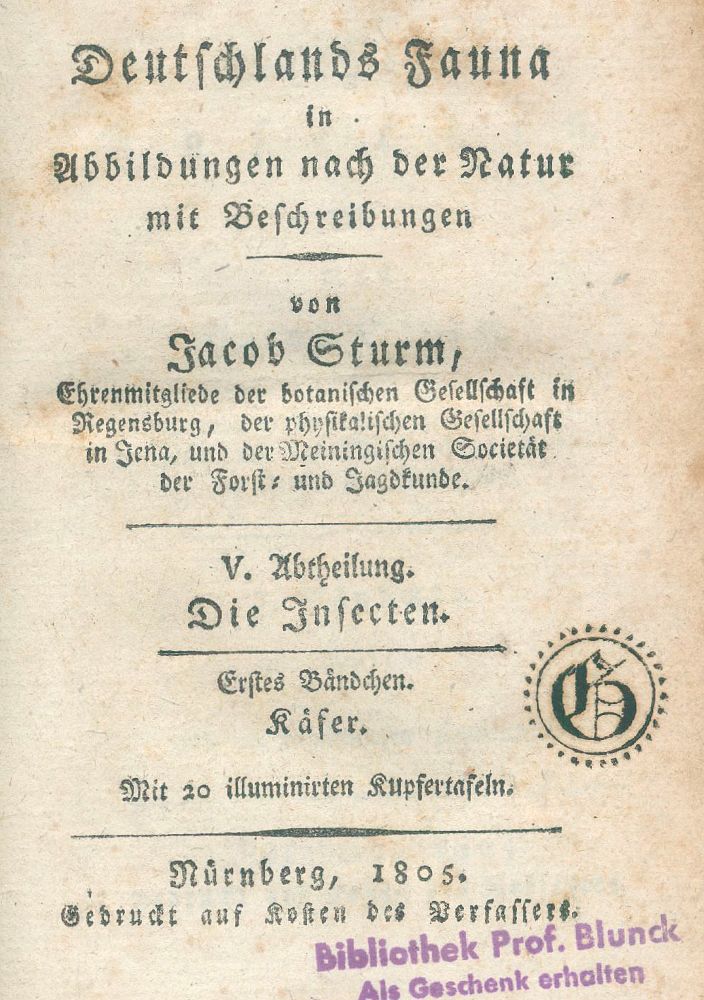 Große Abbildung Nr.1: 128-1925 Sturm,J.: (Zoologie, Insekten)