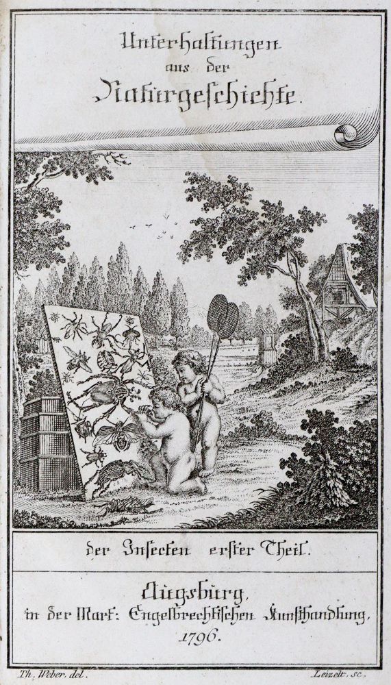 Große Abbildung Nr.3: 128-1926 (Wilhelm,G.T.): (Zoologie, Insekten)