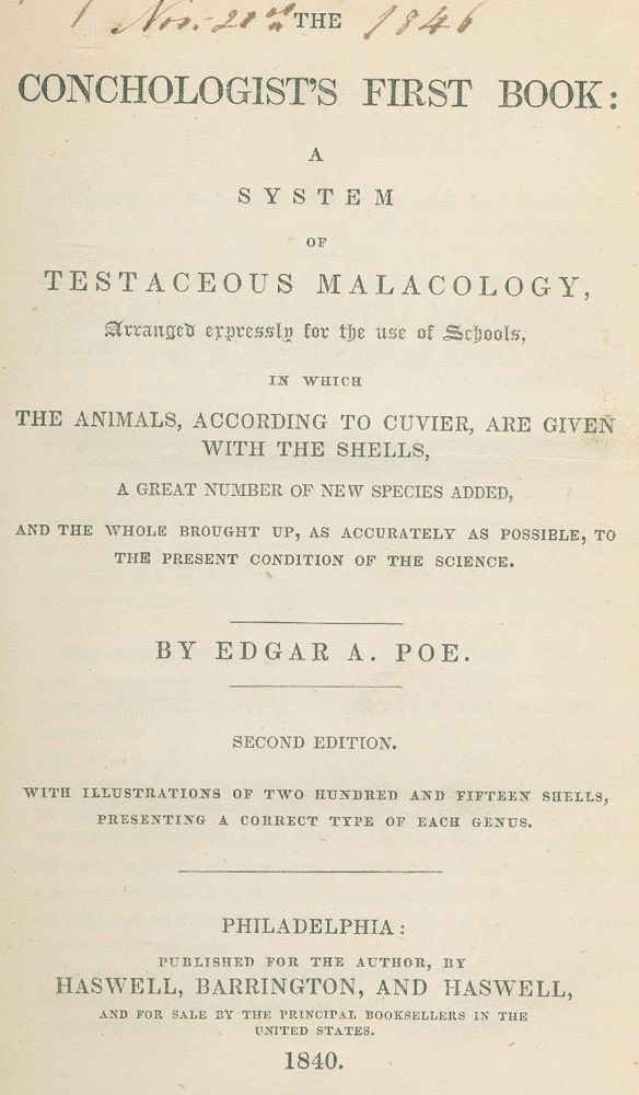Große Abbildung Nr.2: 128-1928 Poe,E.A.: (Zoologie, Muscheln)