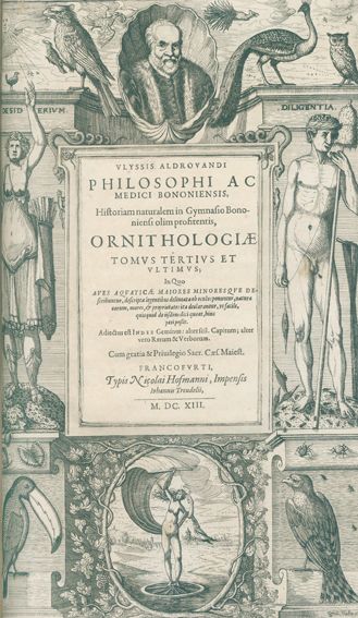Große Abbildung Nr.2: 128-1933 Aldrovandi, U.: (Zoologie, Tauben)