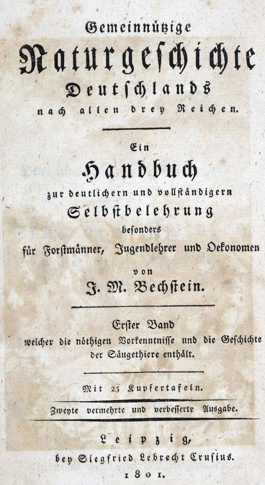 Große Abbildung Nr.1: 128-1934 Bechstein,J.M.: (Zoologie, Vögel)