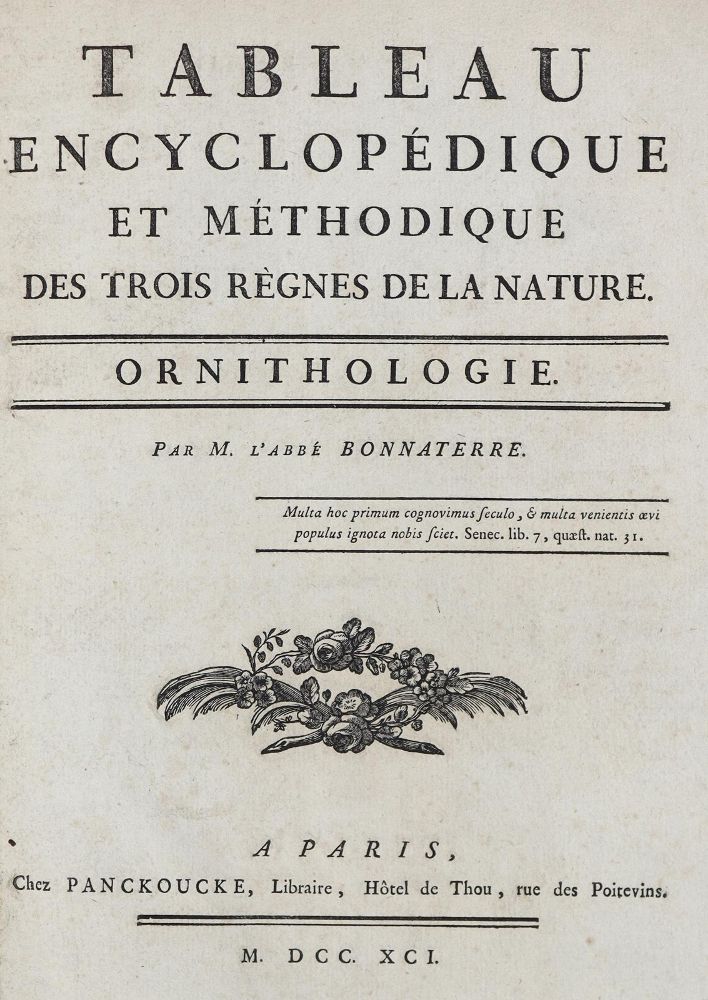 Große Abbildung Nr.3: 128-1935 Bonnaterre,J.P.: (Zoologie, Vögel)