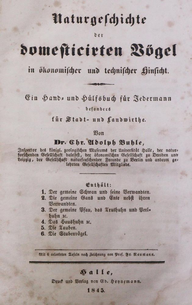 Große Abbildung Nr.1: 128-1937 (Buffon,G.L.L.de).: (Zoologie, Vögel)