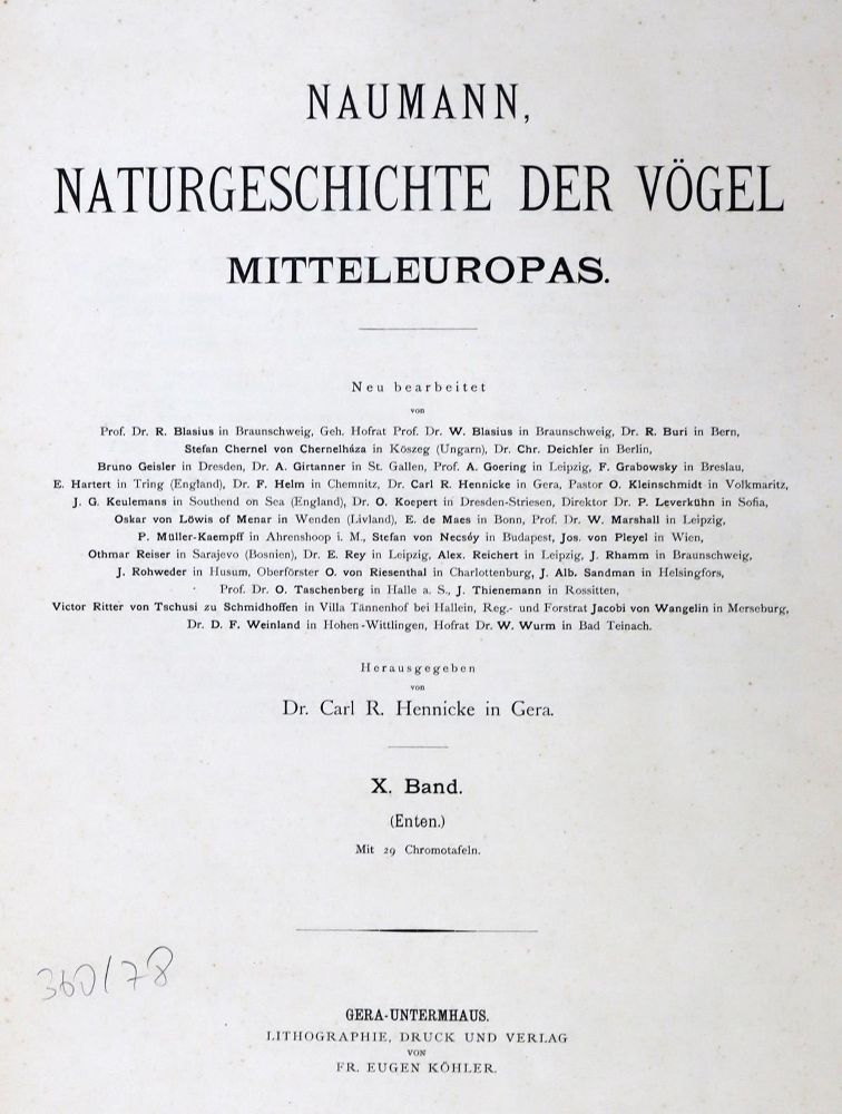 Große Abbildung Nr.2: 128-1942 Naumann,(J.A.).: (Zoologie, Vögel, Enten)