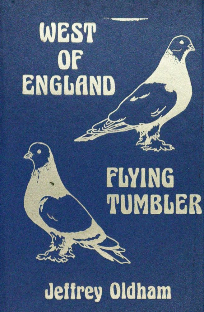 Große Abbildung Nr.1: 128-1954 Tauben.: (Zoologie, Vögel)