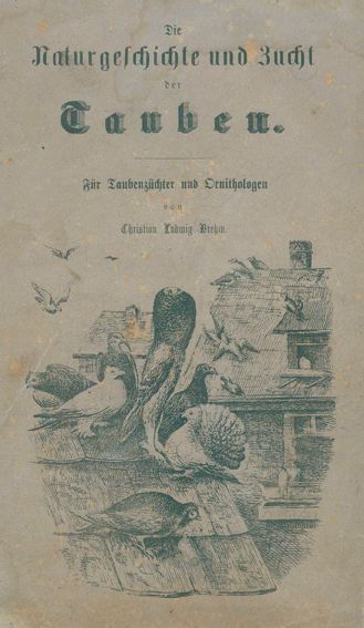 Große Abbildung Nr.1: 128-1961 Brehm,C.L.: (Zoologie, Vögel, Tauben)