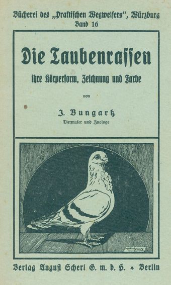 Große Abbildung Nr.1: 128-1966 Bungartz,J.: (Zoologie, Vögel, Tauben)