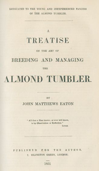 Große Abbildung Nr.2: 128-1967 Eaton,J.M.: (Zoologie, Vögel, Tauben)