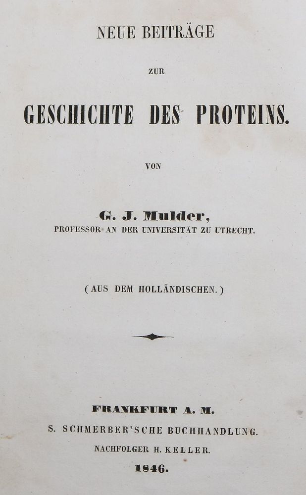 Große Abbildung Nr.11: 128-197 Meissner,P.T.: (ZZRückgänge Sgl. Prof. Büttner Teil 1 und 2)