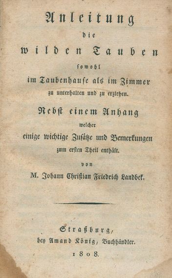 Große Abbildung Nr.1: 128-1975 Landbek,J.: (Zoologie, Vögel, Tauben)