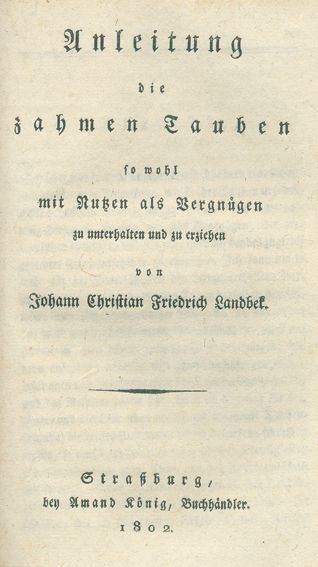 Große Abbildung Nr.2: 128-1975 Landbek,J.: (Zoologie, Vögel, Tauben)