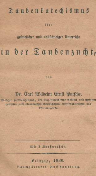 Große Abbildung Nr.1: 128-1985 Putsche,C.W.E.: (Zoologie, Vögel, Tauben)
