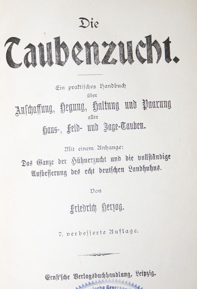 Große Abbildung Nr.1: 128-1988 Sammlung: (Zoologie, Vögel, Tauben)