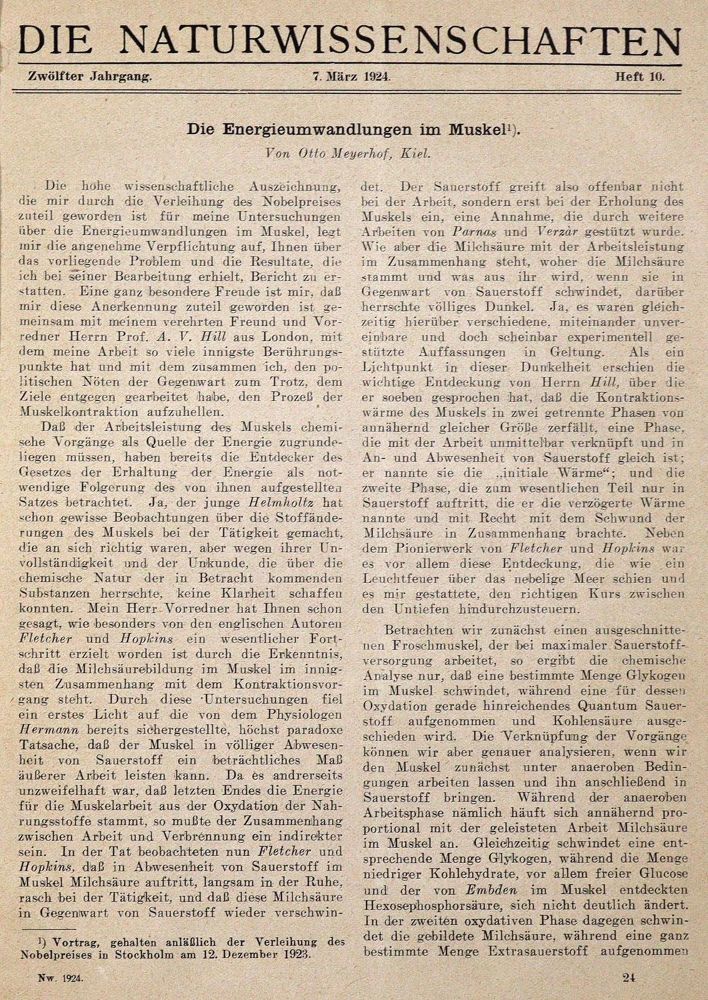 Große Abbildung Nr.21: 128-199 Metternich,A.F.: (ZZRückgänge Sgl. Prof. Büttner Teil 1 und 2)