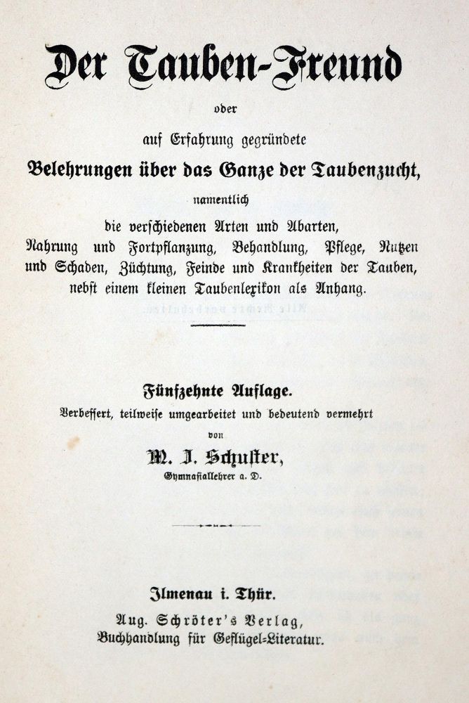 Große Abbildung Nr.1: 128-1990 Sammlung: (Zoologie, Vögel, Tauben)