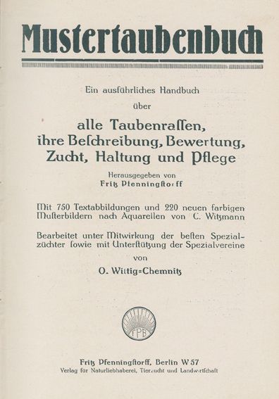 Große Abbildung Nr.1: 128-2006 Wittig,O.: (Zoologie, Vögel, Tauben)