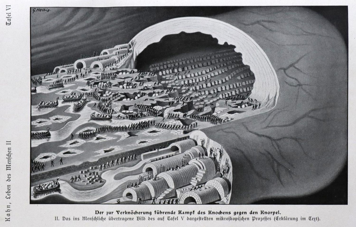 Große Abbildung Nr.1: 128-2012 Kahn,F.: (Verschiedene Gebiete - Varia, Anthropologie)