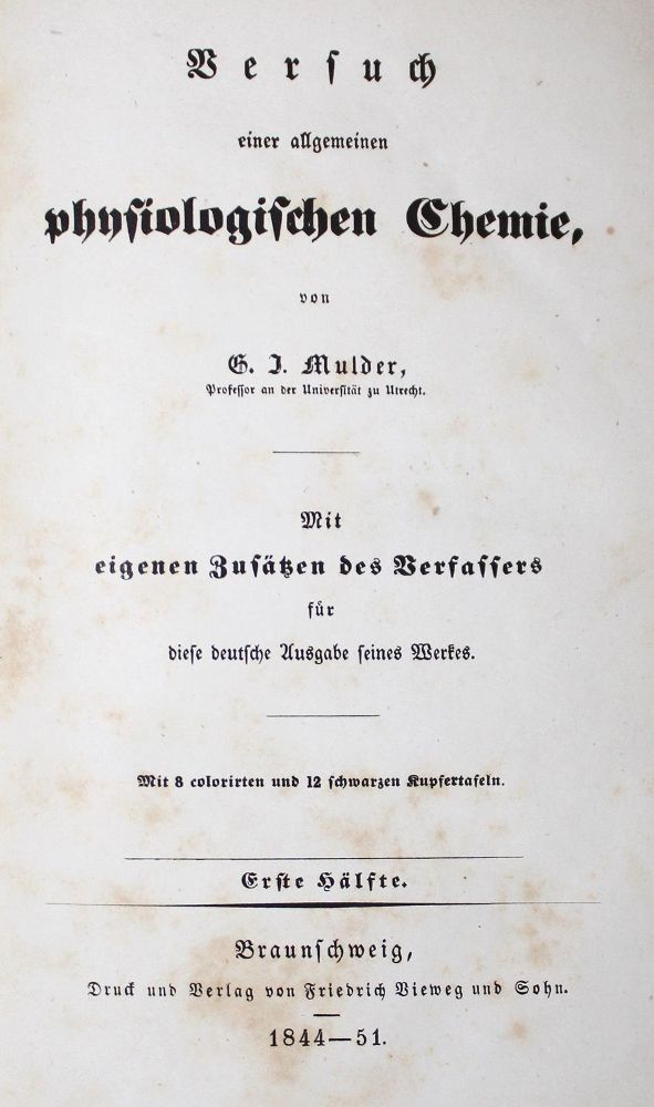 Große Abbildung Nr.31: 128-202 Müller,F.: (ZZRückgänge Sgl. Prof. Büttner Teil 1 und 2)