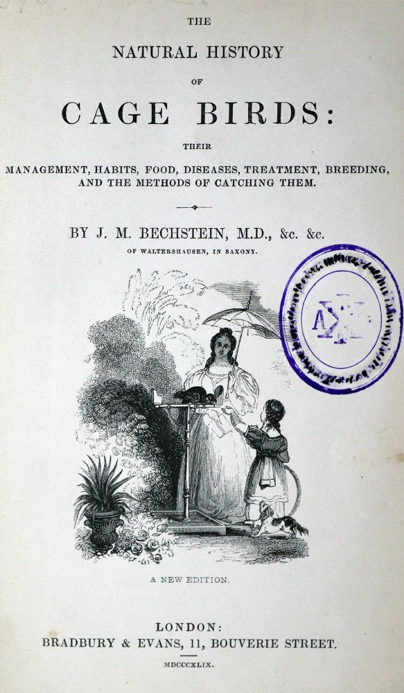 Große Abbildung Nr.1: 128-2030 Bechstein,J.M.: (Verschiedene Gebiete - Varia)
